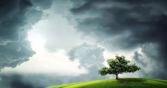 Početkom tjedna promjena vremena: kiša, vjetar i pad temperature