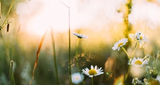 Danas nas očekuje sunčano vrijeme uz povremenu naoblaku