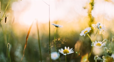 Danas nas očekuje sunčano vrijeme uz povremenu naoblaku