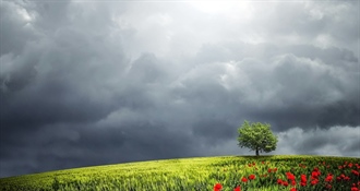 Danas pretežno oblačno uz kišu i pad temperature – biometeorološki uvjeti nepovoljni