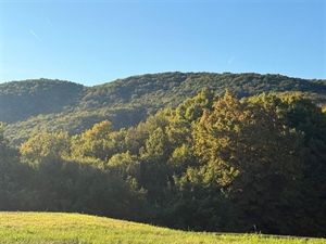 Ne propustite današnje predstavljanje vodiča za šumovlasnike u Zaboku