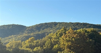 Ne propustite današnje predstavljanje vodiča za šumovlasnike u Zaboku