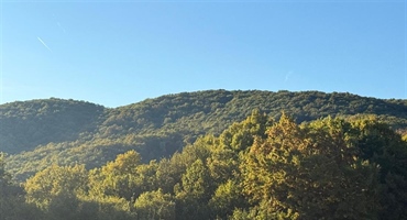 Ne propustite današnje predstavljanje vodiča za šumovlasnike u Zaboku