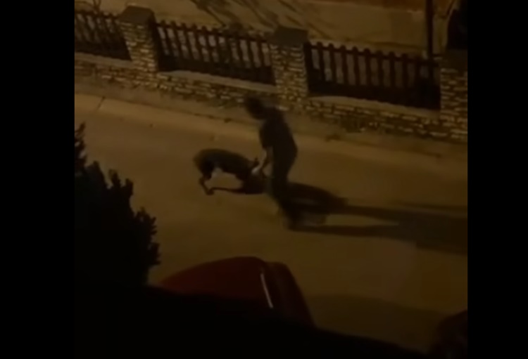 ŠOKANTNA SNIMKA Muškarac na ulici nemilosrdno tukao psa - udarao ga rukama i nogom