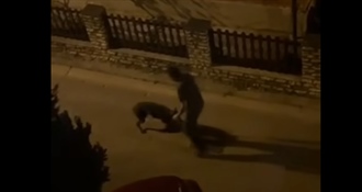 ŠOKANTNA SNIMKA Muškarac na ulici nemilosrdno tukao psa - udarao ga rukama i nogom