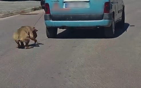 ŠOKANTNA SNIMKA: Vezao psa za auto i vukao ga po cesti