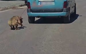 ŠOKANTNA SNIMKA: Vezao psa za auto i vukao ga po cesti