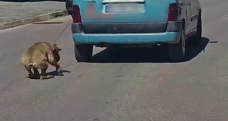 ŠOKANTNA SNIMKA: Vezao psa za auto i vukao ga po cesti