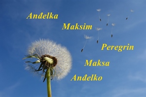 Današnji slavljenici su Anđelko, Anđelka, Maksim, Maks, Peregrin
