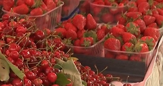 Na tržnice stigle prve trešnje, cijena i 20 eura: Kupci se pitaju jesu li od zlata?