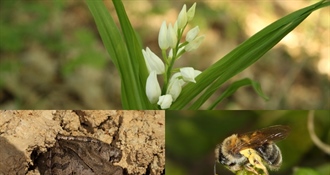 SLUŽBENI REZULTATI: Varaždinska županija ostvarila najbolje rezultate u City Nature Challengeu 2026