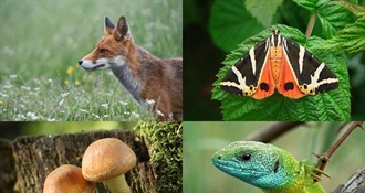 JU Zagorje zeleno: Međunarodni dan biološke raznolikosti i Dan zaštite prirode – 22. svibnja