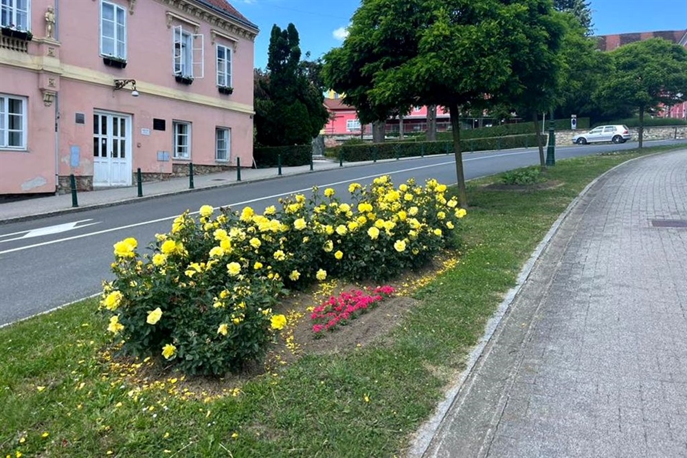 Varaždinske Toplice procvale u proljetnom ruhu: Cvjetno uređenje uljepšalo gradske ulice
