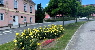 Varaždinske Toplice procvale u proljetnom ruhu: Cvjetno uređenje uljepšalo gradske ulice