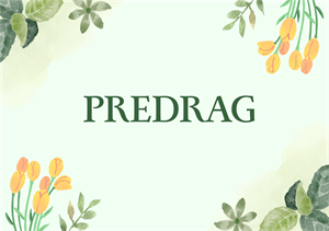 NEK MU JE SRETAN Današnji slavljenik je Predrag!