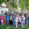 Varaždin izabrao svoje Stablo godine - pobjedila javorolisna platana s križanja Zavojne i Trenkove ulice