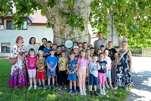 Varaždin izabrao svoje Stablo godine - pobjedila javorolisna platana s križanja Zavojne i Trenkove ulice
