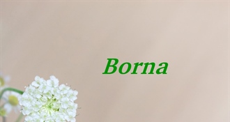 SRETAN IMENDAN Današnji slavljenik je Borna!
