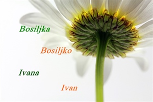 Današnji slavljenici su Ivan, Ivana, Bosiljka i Bosiljko – sve najbolje im!