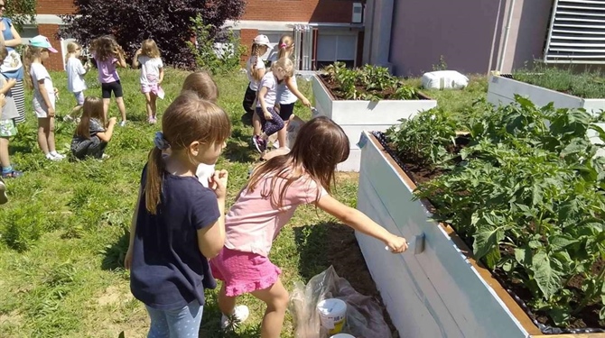 U Jalžabetu uspješno završen program ''Eko dijete – zeleno sutra'': Djeca oslikala drvene gredice i pretvorila ih u prava umjetnička djela
