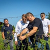 Župan Posavec: Zbog nastale štete od tuče na vinogradima u općini Štrigova traži se hitna intervencija Ministarstva poljoprivrede