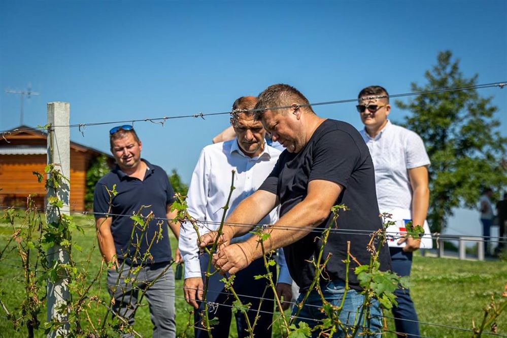 Župan Posavec: Zbog nastale štete od tuče na vinogradima u općini Štrigova traži se hitna intervencija Ministarstva poljoprivrede