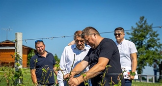 Župan Posavec: Zbog nastale štete od tuče na vinogradima u općini Štrigova traži se hitna intervencija Ministarstva poljoprivrede