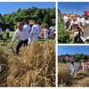 U Grešćevini obilježeno 15 godina rada Udruge Biserna Dolina uz tradicionalnu ručnu žetvu raži