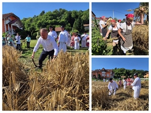 U Grešćevini obilježeno 15 godina rada Udruge Biserna Dolina uz tradicionalnu ručnu žetvu raži