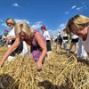 Sve manje ljudi pamti ove prizore: Zvuk srpova, miris tradicije i velika fešta - evo gdje!