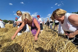 Sve manje ljudi pamti ove prizore: Zvuk srpova, miris tradicije i velika fešta - evo gdje!