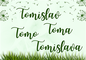 NJIHOV JE DAN Tomislav, Tomislava, Tomo i Toma sretan imendan!