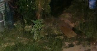 Panika i strah među ljudima: Viđen vuk u Oroslavju i Strmcu Stubičkom