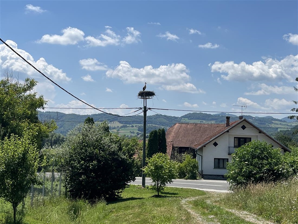 JU Zagorje zeleno: Monitoring bijele rode 2026.