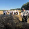 Trnovec oživio tradiciju: Žetvene svečanosti uz pjesmu, ples i prikaz stare žetve