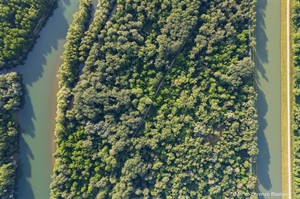 Danas godišnjica proglašenja hrvatsko-mađarskog Rezervata biosfere Mura-Drava-Dunav, župan Stričak: Čuvajmo naše rijeke danas – za prirodu i buduće generacije!