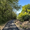Općini Radoboj odobreno maksimalnih 40.600 eura za asfaltiranje nerazvrstanih cesta