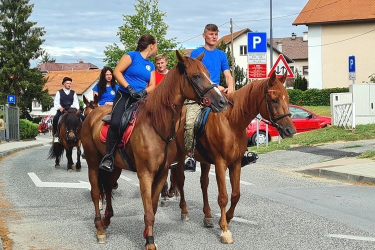 Konjske zaprege ponovno stižu u Mariju Bistricu: Održava se 24. Međunarodno vozočašće