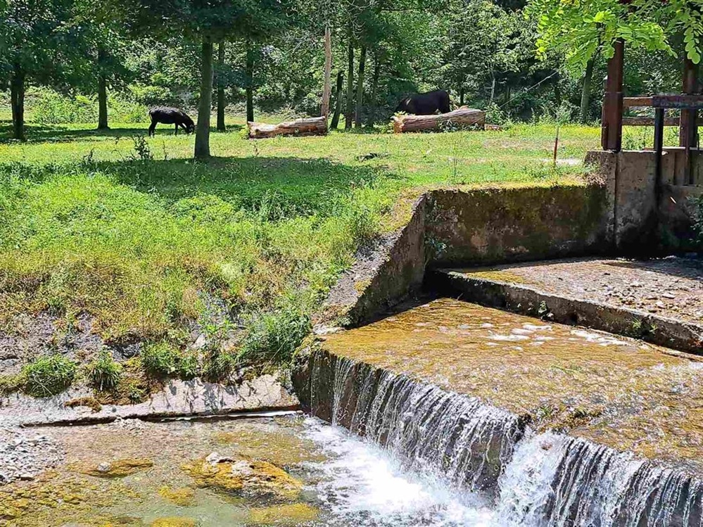 Prijepodne vedro, a poslijepodne umjerena naoblaka – temperature do 39 °C