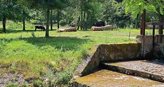Prijepodne vedro, a poslijepodne umjerena naoblaka – temperature do 39 °C