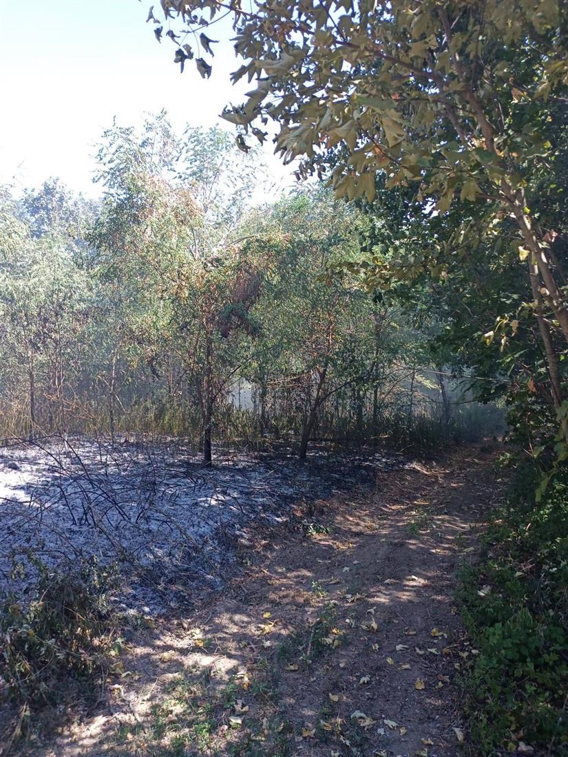 Ponovno tri požara u Zagorju: U Marincima, Brdu Jesenskom i Karivarošu