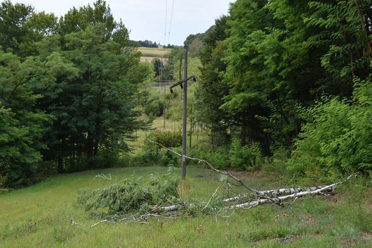 Međimurec rušio drvo koje je pri padu oštetilo dalekovod – oko 1200 kućanstva ostavio bez struje