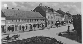Kako je Koprivnica postala srce Podravine?