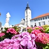 I Grad Čakovec uz Omiš: Pomoći će im sa 10 tisuća eura