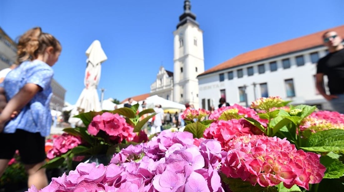I Grad Čakovec uz Omiš: Pomoći će im sa 10 tisuća eura