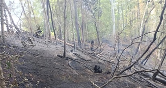 Ponovno u Zagorju veliki požar na nepristupačnom terenu, gasili ga JVP Krapina i vatrogasci iz sedam dobrovoljnih vatrogasnih društava