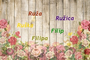 Današnji slavljenici su Ruža, Ružica, Filip i Filipa – sretan im imendan!