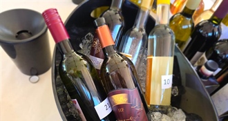 Danas predstavljanje kampanje i novog vizualnog identiteta „Zagorje je vino“