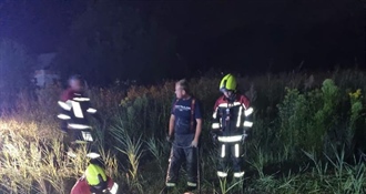 Noćna dramatična intervencija u Desiniću: Vatrogasci spašavali konja iz potoka
