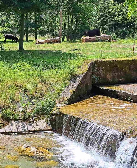 Vraćaju se "pakleme" temperature -, danas se "pržimo" na 35 stupnjeva